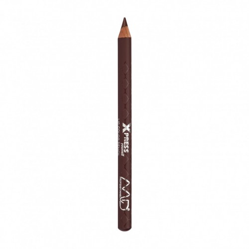  MD Professionnel Xpress Yourself Lip Color Pencil 239